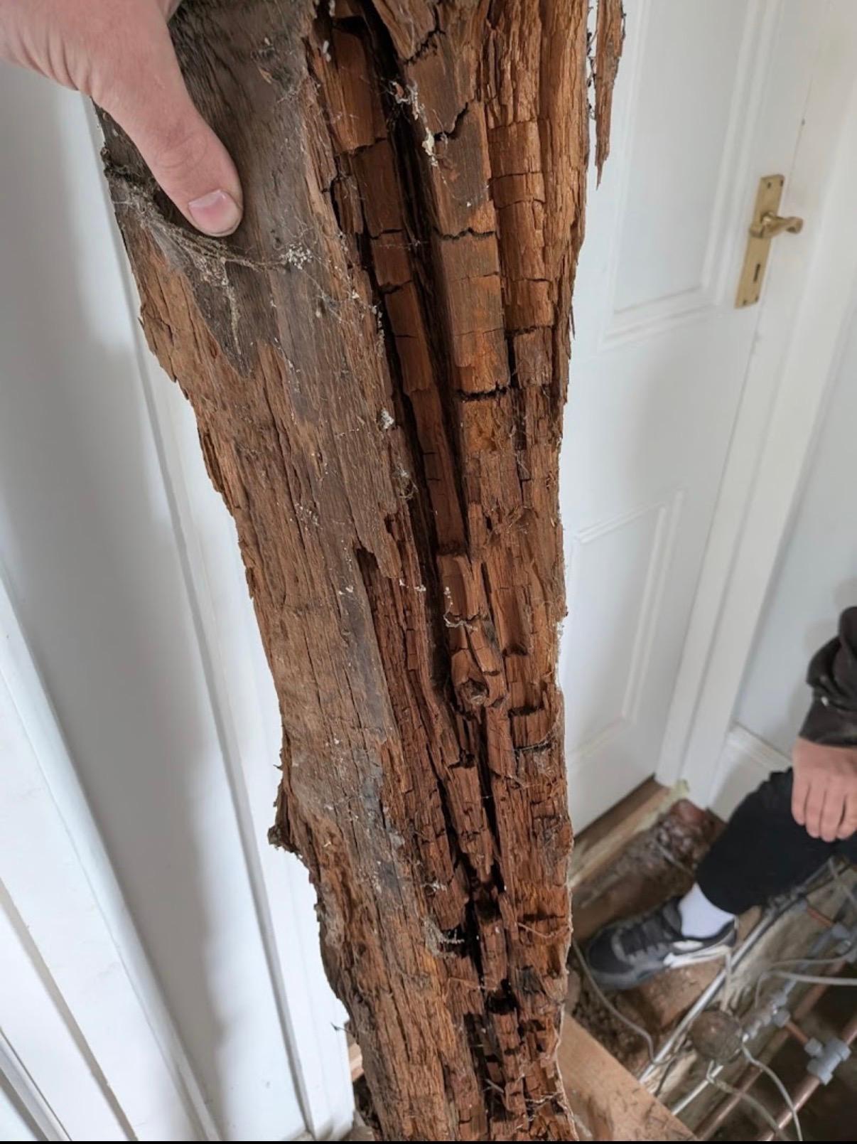 Damp & TImber Survey Dronfield
